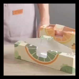 Double Ziplock Food Storage Bag Resealable Food Grade Plastic Reusable Food Preservation Anti Leak Sealed Freezer Bag