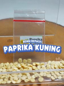 Benih Cabai & Paprika Kuning Unggulan: Tips Hidroponik