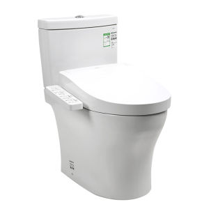Intelligent Direct Flush Toilet Universal Self-Cleaning Drying Odor Removal