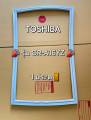 ขอบยางตู้เย็น TOSHIBA รุ่น GR-A16YZ ( 1 ประตู ). 