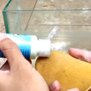 Pembersih Kaca Aquarium Akuarium Clink Pembersih Kerak Jamur Kaca