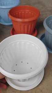 กระถางโรมัน 6 นิ้ว + จานรอง มีหลายสีให้เลือก สินค้าพร้อมส่ง