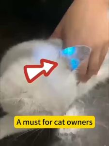 DD Cat & Pet 365nm UV Light Rechargeable Ringworm Detection Pen with Waterproof Black Light