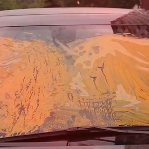 1 Gallon Prestige Windshield Washer Fluid Dissolves Dirt Grime & Bugs Instantly Washes Clean for a Bright Spotless Windshield Fast-Dry Formula Enhances Safer Driving Visibility Streak-Free Powerful Cleaning Solution for All Weather Conditions