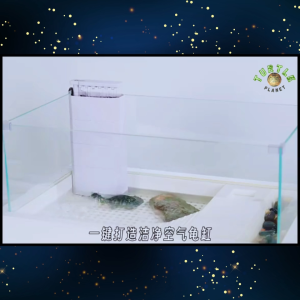 YEE Turtle Low Water Level Filter Turtle Tank Filter Akuarium Kura Kura Filter Pump 低水位过滤器