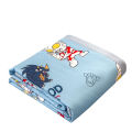 Summer Children Student Air Conditioning Blanket. 