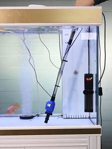 Máy thay nước bể cá lọc cát sạc Fish Tank Water Changer (Full Option)