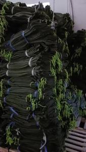 Bao Cát Chống Lũ Bằng Vải Bạt Dày Cộng Đồng Tài Sản Bao Cát Chặn Nước Khẩn Cấp Bao Cát Chữa Cháy Bao Cát Chống Lũ Tự Hút