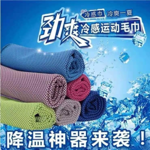 WE 2446 = 冷感运动毛巾 Cooling Sports Towel (Random Color)