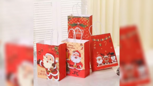 MERRY CHRISTMAS Paper Bag Assorted Design 12PCS Per Pack for Your Christmas Needs