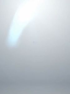 Nam châm chà hồ cá  lau kính vệ sinh hồ cá kết hợp đầu cạo rêu cao cấp yee