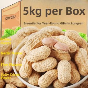 Longyan Wet Roasted Peanuts Shell on Snack Garlic Flavor Red Skin Roasted Nuts Leisure Food Dry Edible Treats Baby Snacks