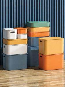 XINGYOU | Multi-Item Storage Box Plastic