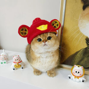 Pet Cat Dog Wealth God Hat Funny Yuanbao Head Set Costume Winter Attracting Wealth Cat Headwear Universal Costume Hat