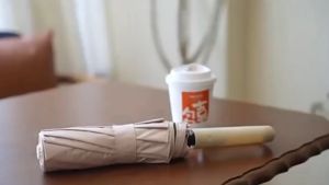 Innohut Ring Buckle Automatic Umbrella Windproof Sunshade Reinforce Large Umbrella Portable Foldable Umbrella 自动式雨伞