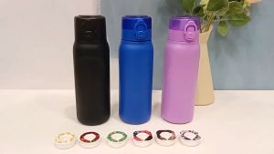 SG Seller Air Up Thermos Water Bottle With Straw Outdoor Sports Fashion Drinking Bottle 0 Sugar 0 Calorie Flavor Pods Flavored Water Bottle Vacuum Insulated Bottle Air Water Up Bottle Air Starter Up Water Cup Black Blue Purple