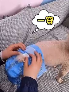 COCOYO Female Dog Pet Diaper Disposable Strong Absorb Soft And Breathable (12pcs/bag)