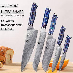 WILDMOK Professional 5 Knives Set 67 Layer Forged VG10 Damascus Steel Well-Balanced Comfort Resin Handle Restaurant & Home Use