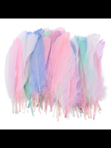 (ราคาต่อ 50 ชิ้น)ขนนก แบบธรรมชาติ ขกนกDIY สำหรับตกแต่ง สำหรับตกแต่งบ้าน สีสันสวย พร้อมส่ง