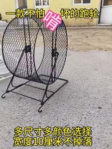 Rabbit Supplies Hamster Mute Running Wheel Oversized Sugar Glider Hedgehog Squirrel Treadmill Djungarian Hamster Toy Running Ball