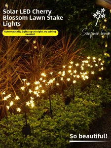 Waterproof Colorful Solar Garden Light