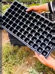 Khay Ươm Hạt Giống 5 Khay Nhiều Kích Thước Chịu Nhiệt Bền Tái Sử Dụng Nhiều Lần