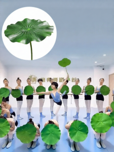 XIAOYAOSHAN | Classical Dance Performance Props Lotus and Fish