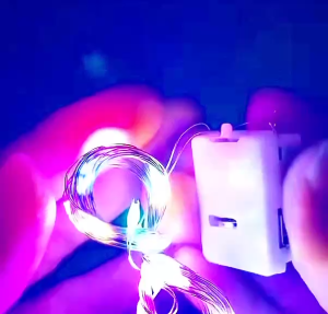 Combo 5 Dây Đèn LED Dùng Pin - 3 mét màu 7 màu