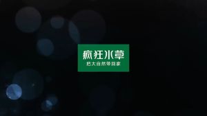 Dragon Stones Rock for Aquarium Aquascaping Decoration (Mixed Sizes) Dragon Stone Decor Dragon Wall Art Dragon Stuffed Animal - Lazada