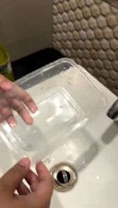 BioGent Gallon Dishwashing Liquid with Antibacterial Action - Calamansi Scent