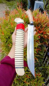 golok sembelih natural