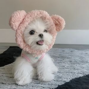 Adorable Dog Hat Costume Change Gradient Color British Short Hair German Headset Internet Famous Ins Style Pet Accessories