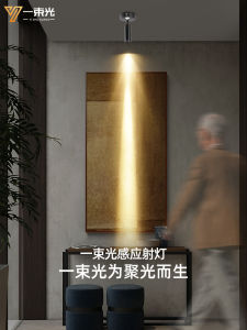Focused Beam Spotlight Small Angle Ceiling Mounted Human Body Induction for Tea Room Hallway Corridor Staircase Entrance