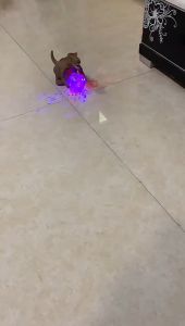 ไดโนเสาร์บอลไฟ มีเสียงมีไฟ สร้างเสริมพัฒนาการเด็ก ของขวัญวันเกิดของเล่น ของเล่นเด็ก ไดโนเสาร์ของเล่น ไดโนเสาร์เดินได้