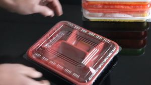 QS 100pcs Lunch Box Set For Adult Thickened Bento Disposable Box Food Container With 3 Division