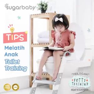 Kursi Toilet Bayi dengan Tangga: Panduan Potty Training Seat & Pispot Bayi