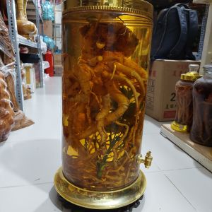 bình đinh lăng 258lit