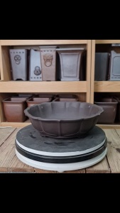 Chậu bonsai - Ang tròn cánh sen gốm tàu đen M30 H9.5 kích thước cụ thể như hình ảnh