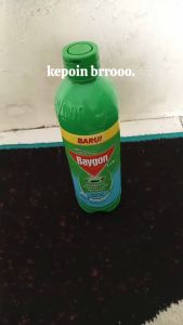 Baygon Liquid Refill Obat Anti Nyamuk, Lalat & Kecoa 800 ml