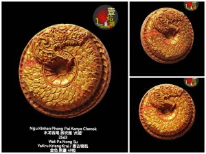 Ngu Kinhan Phong Pai Kanya Chenok 水龙呑尾 派坎雅 贞诺