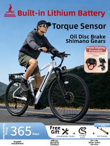 Phoenix | Light Commuting New Standard Lithium Battery Electric Bicycle