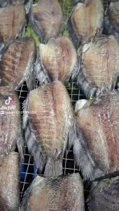 1 kg KHÔ CÁ SẠC THƯỢNG ĐẲNG KHÔNG ĐẦU - ĐẶC SẢN U MINH CÀ MAU [3-4 CON/ 500GR]