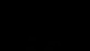 HEATER STAINLESS RECENT 500 Watt Pemanas Penghangat Air Suhu Aquarium