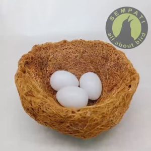 SEMPATI Sarang Serabut Kelapa Bulat Susuh Kelapa Serat Sarang Susuh Bertelur Burung Lovebird Parkit Kenari Sarang Sugar Glider Hamster Mainan SRBBL