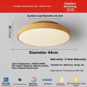 FANZHEN | Air Purification Bladeless Fan Ceiling Light