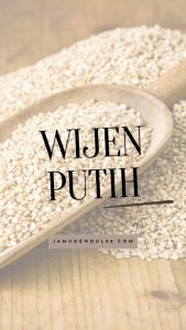 Wijen Putih - Sesame Seeds - Ragam Rempah by Jamu Gendul 88