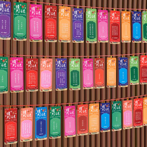 New Year Lantern Decoration Snake Year Spring Festival Greeting Card Riddle Guessing Paper Lantern Hanging Ornament 2025 New Design