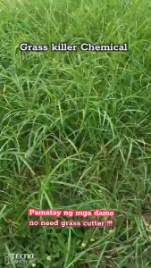 Kill grass herbicide Contain Super Effective Hexazinone Removal tree root Powerful Grass Tree Killer