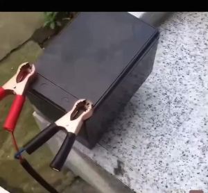 Máy bơm nước mini 12V MARINE BABY BL-2512SNmáy bơm minimáy bơm điệnmáy bơm hút nướcbơm hút nướcbơm minimáy bơm 12vbơm nước 12v lưu lượng lớn bơm 12v lưu lượng cao máy bơm nước mini cắm tẩu bơm hút nước mini 1 inch bơm nước mini 25mm máy bơm nư