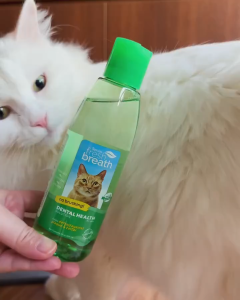 TropiClean Fresh Breath Dental / Oral Care for Cats (Drops / Gel / Water Additive Solution / Kit)